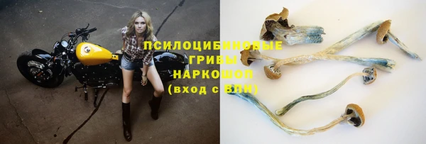 гидропоника Медвежьегорск