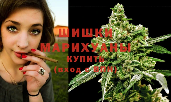 ешки Медногорск
