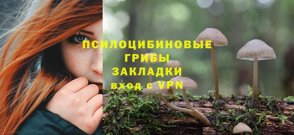 ешки Медногорск