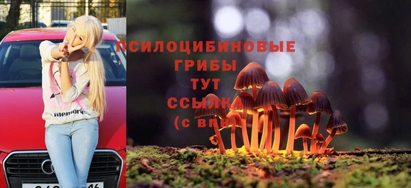 гидропоника Медвежьегорск