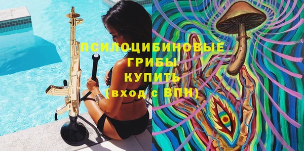 ешки Медногорск