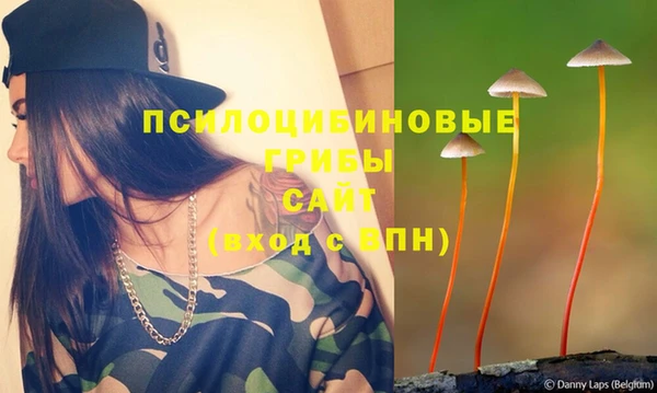 a pvp Мегион